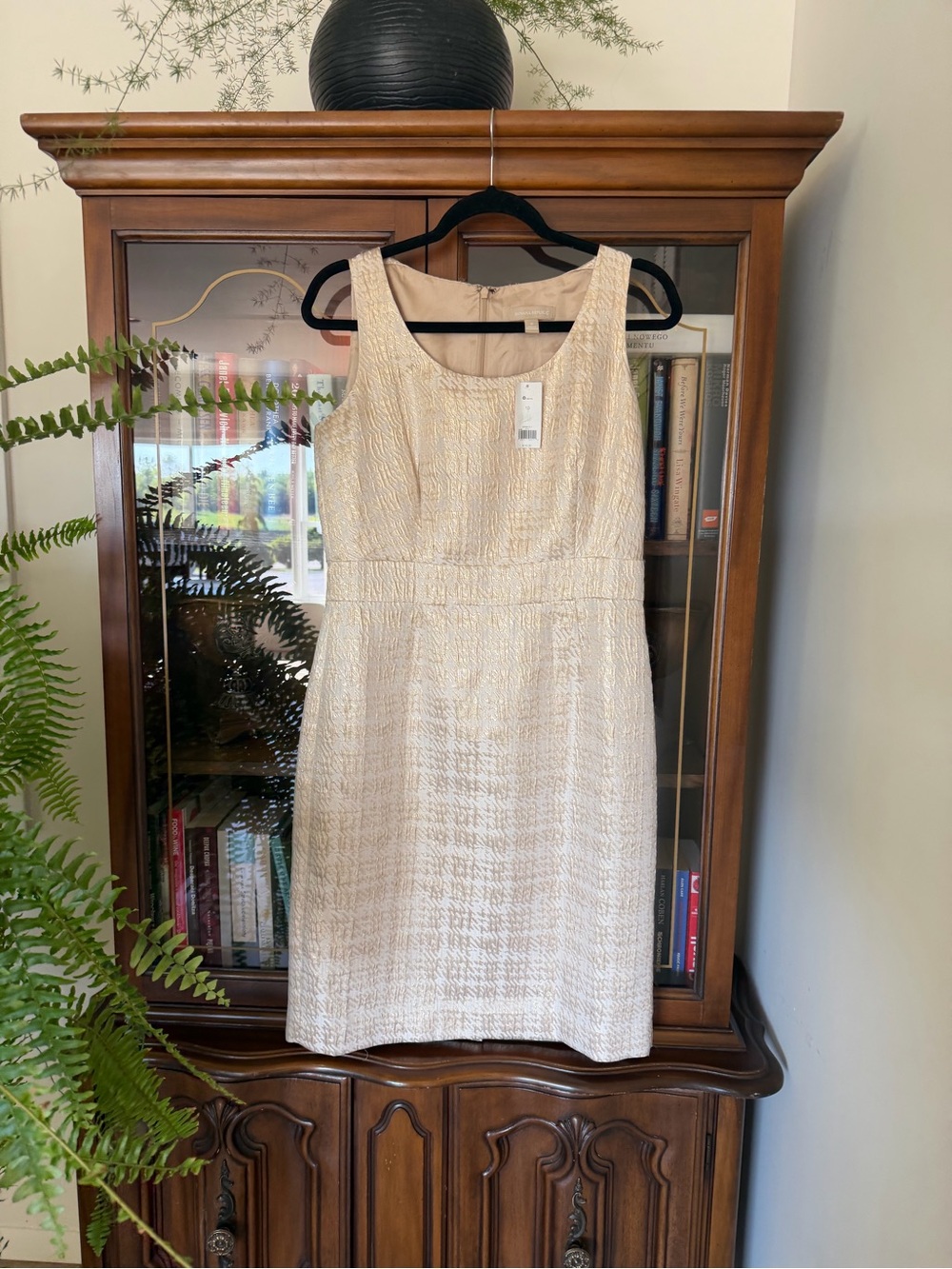Elegant Banana Republic dress Size 10